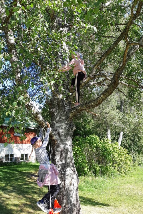 Tyttö kiipeää puuhun