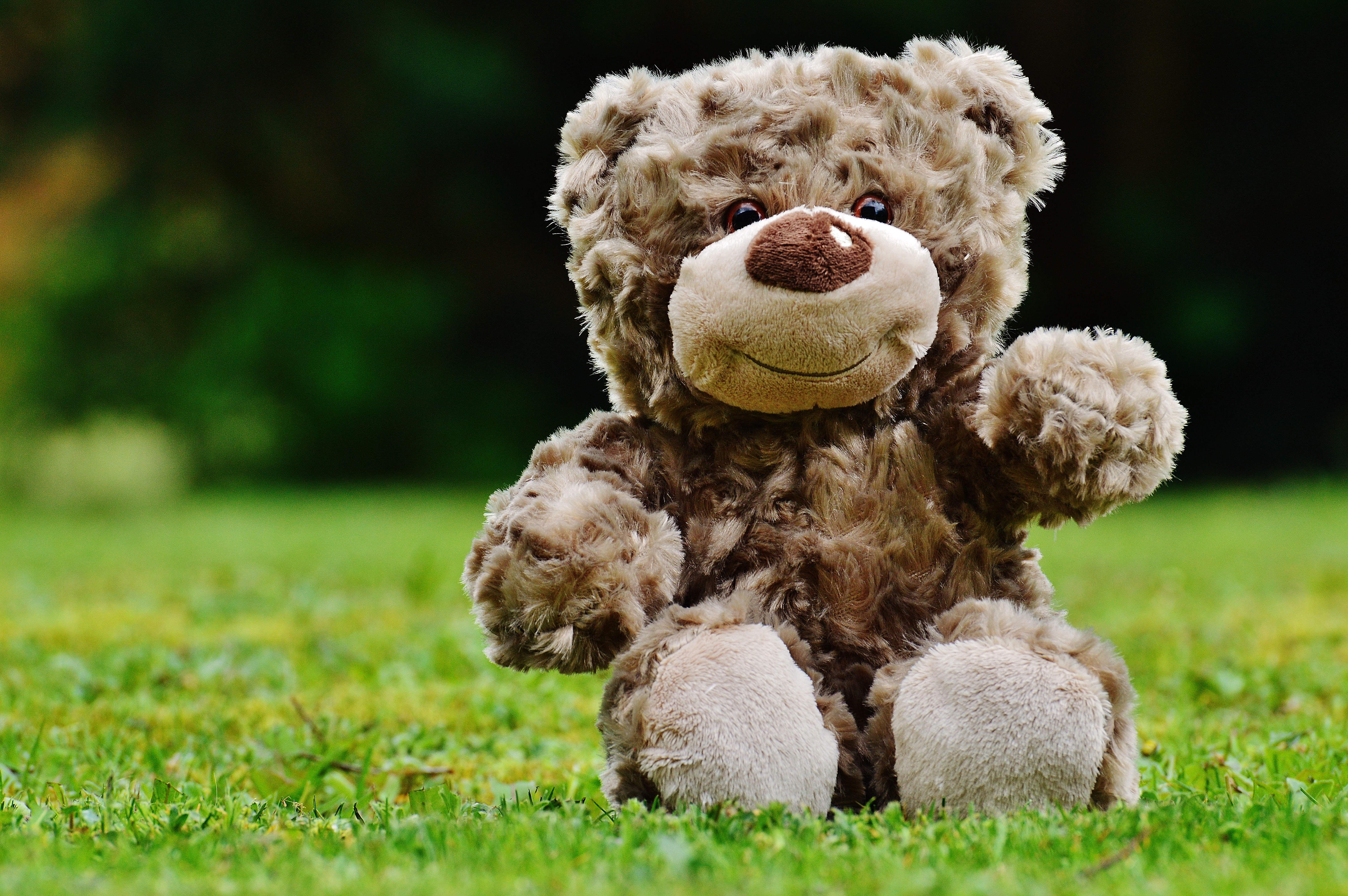 nalle